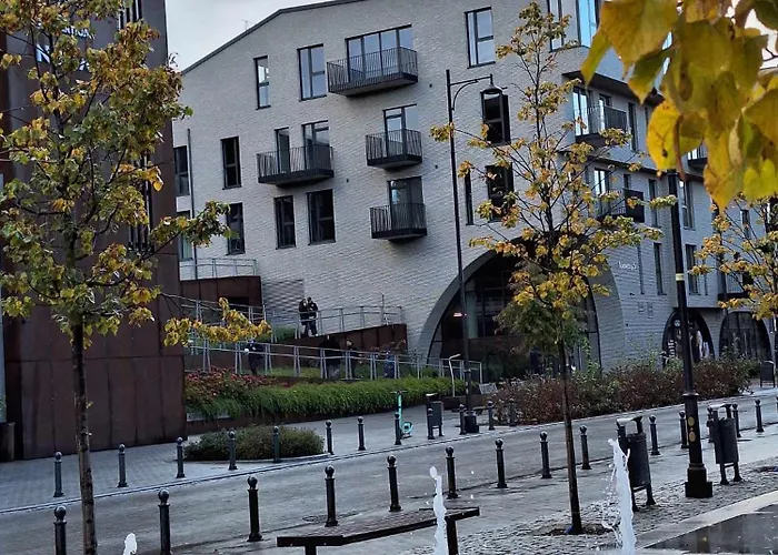 Paupys Golden * ヴィリニュス