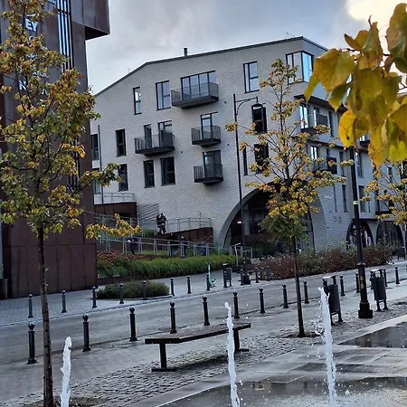 Paupys Golden * 维尔纽斯